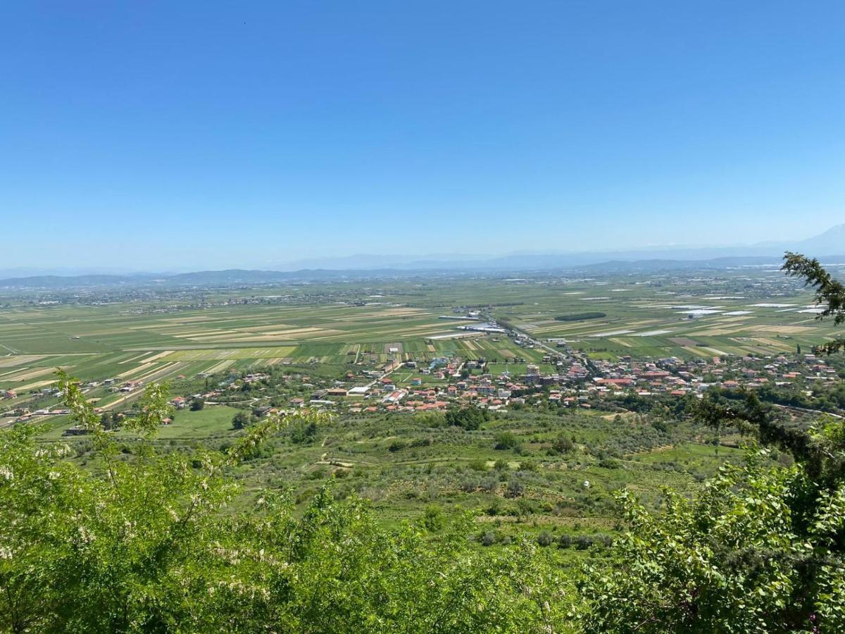 Ardenica Boutique Hotel Lushnjë Eksteriør billede